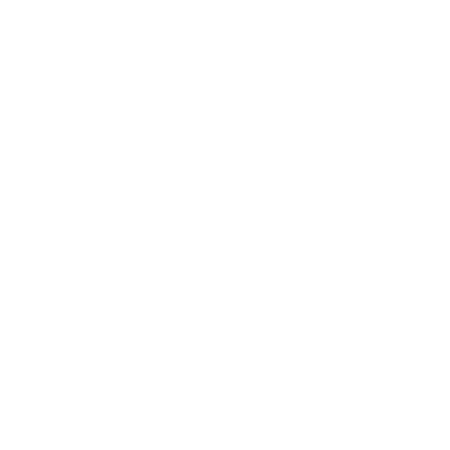 Kiwi & Co